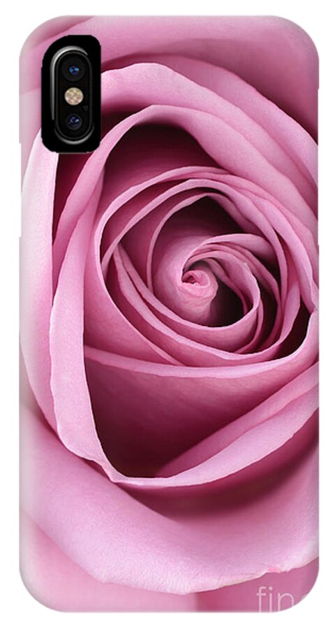 Rose iPhone X Case featuring the photograph Blushing Pink Rose by Sarah Schroder