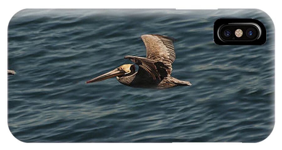 Photography iPhone X Case featuring the photograph Brown Pelican Flying Panorama by Lee Kirchhevel