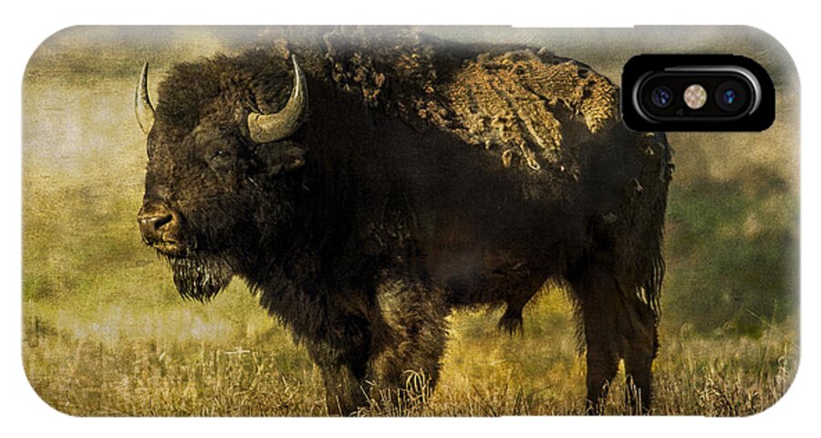 Bison iPhone X Case featuring the photograph Buffalo 2 by Lou Novick