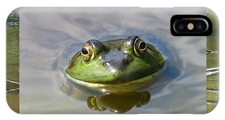 Frog iPhone X Case featuring the photograph Bull Frog and Pond by Natalie Rotman Cote