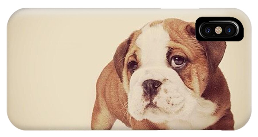  iPhone X Case featuring the painting Bulldog Pup by Ritchie Garrod