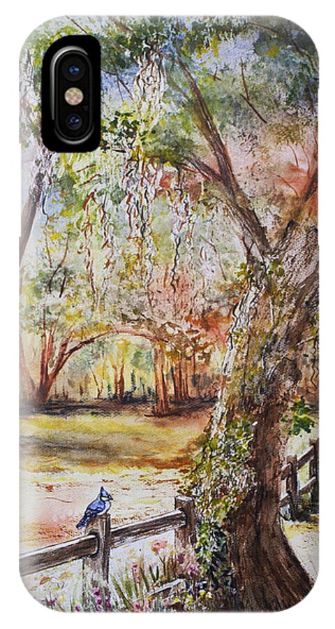 Watercolor iPhone X Case featuring the painting Bushnell Morning by Janis Lee Colon