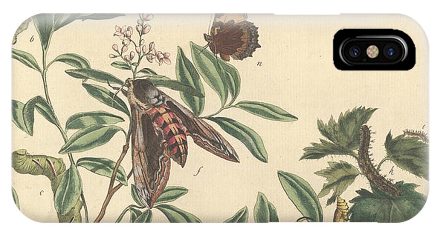 The Aurelian iPhone X Case featuring the photograph Butterflies And Moths by Natural History Museum, London/science Photo Library
