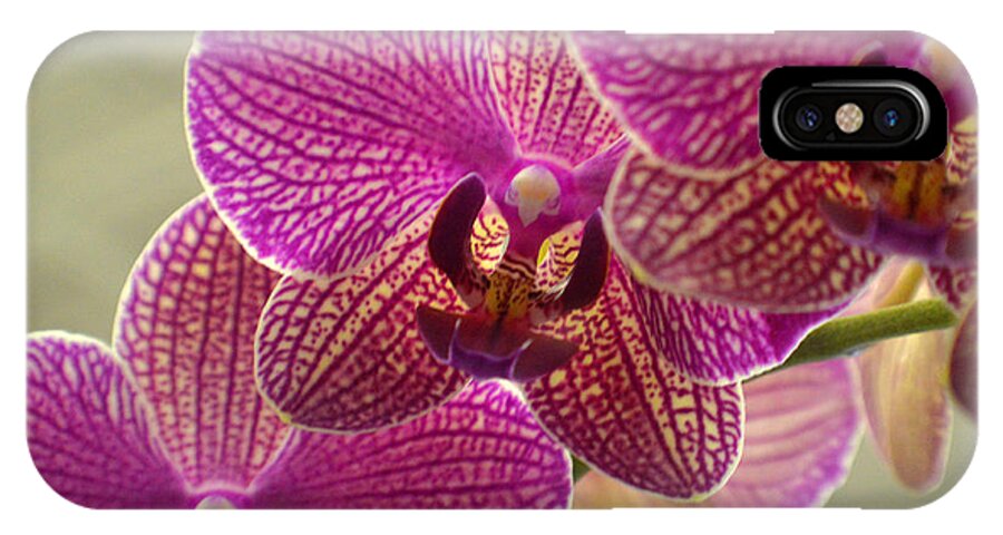 Orchid iPhone X Case featuring the photograph Butterfly Asian Orchid by Tina M Wenger