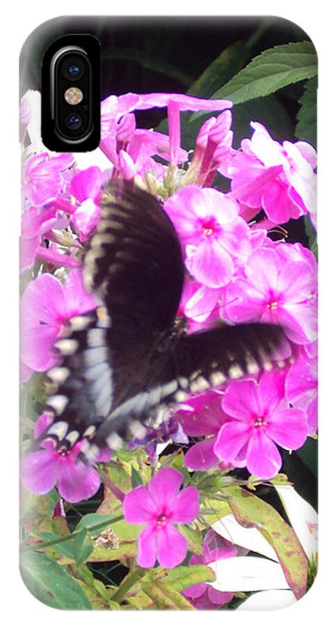 Butterfly iPhone X Case featuring the photograph Butterfly by Cynthia Harvey