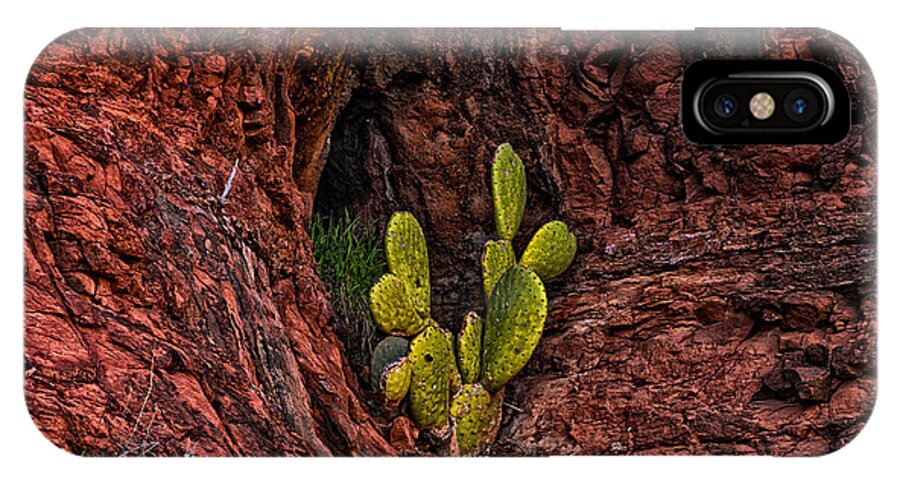 2014 iPhone X Case featuring the photograph Cactus Dwelling by Mark Myhaver