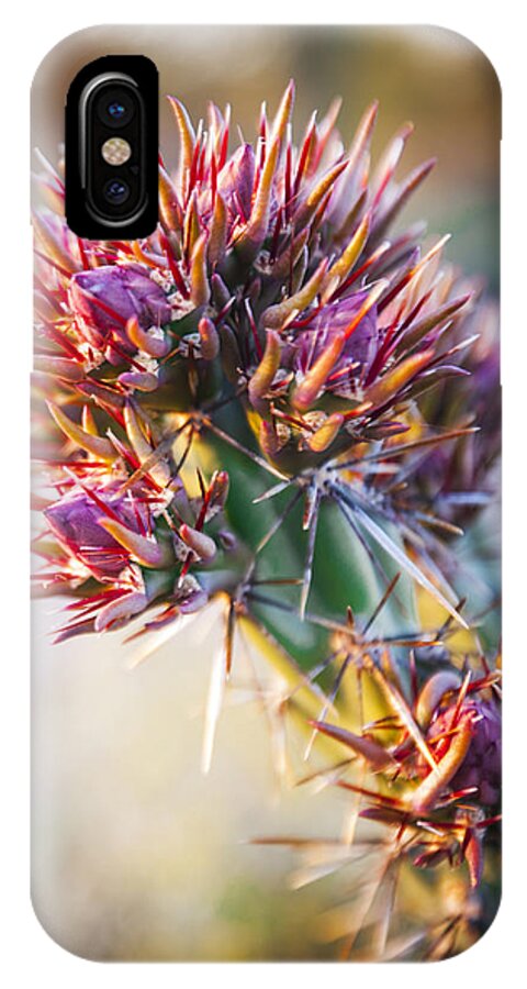 Cactus iPhone X Case featuring the photograph Cactus in Spring Bloom by Anthony Citro