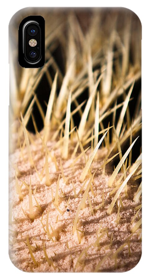 Botanical iPhone X Case featuring the photograph Cactus Skin by John Wadleigh