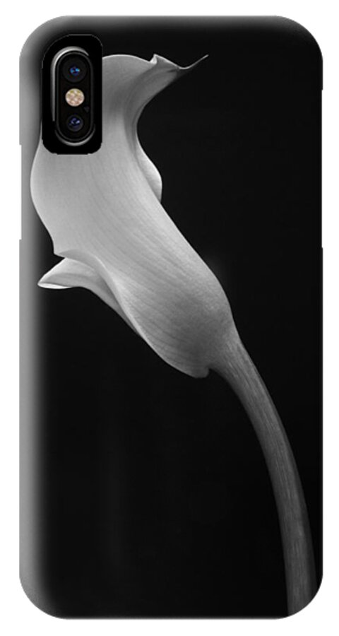 Cala Lilly iPhone X Case featuring the photograph Cala Lilly 1 by Ron White