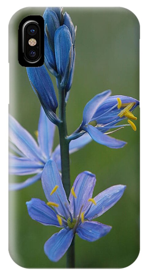 Elko iPhone X Case featuring the photograph Camas by Jenessa Rahn