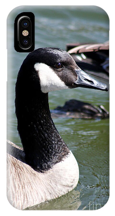 Christian iPhone X Case featuring the photograph Canada Goose Profile by Anita Oakley