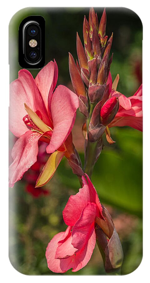 Flower iPhone X Case featuring the photograph Canna Lily by Jane Luxton