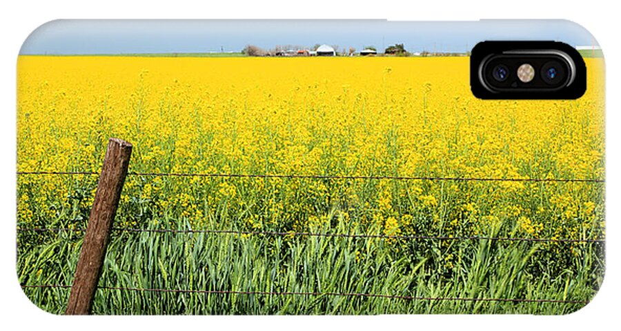 Canola iPhone X Case featuring the photograph Canola Field by Pattie Calfy