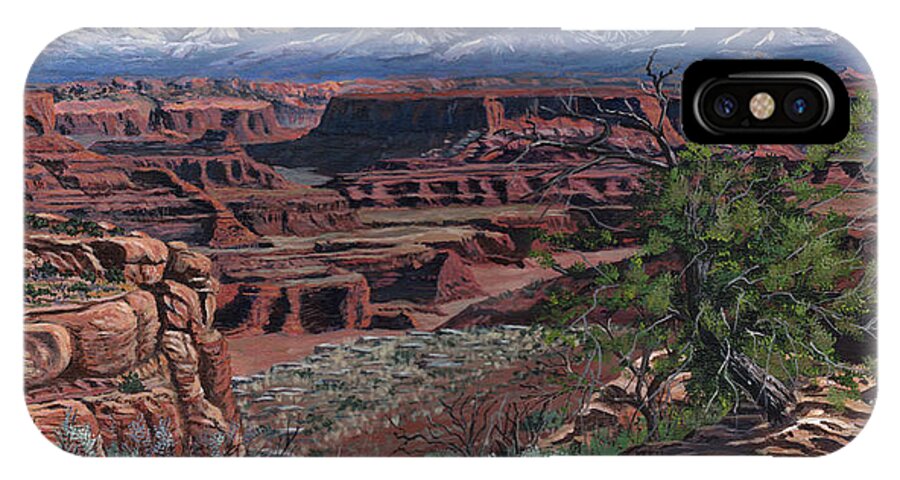 Landscape iPhone X Case featuring the painting Canyon Lands by Timithy L Gordon