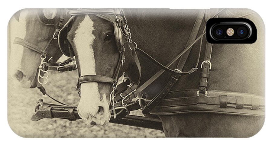 Horse iPhone X Case featuring the photograph Carriage Horses II by Terry Rowe