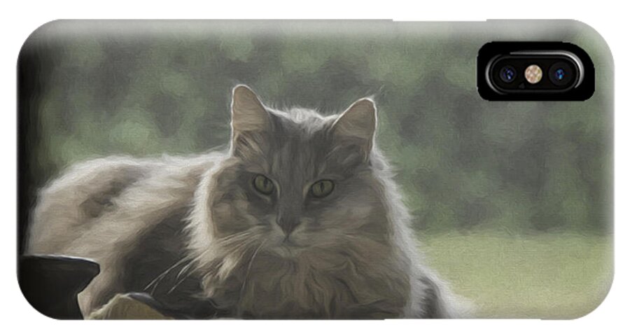 Cat iPhone X Case featuring the photograph Cat n Saddle by Jody Lovejoy