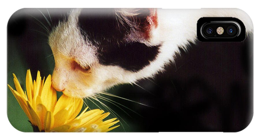 Photograph iPhone X Case featuring the photograph Cat Smelling Flower by Larah McElroy