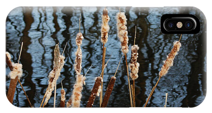 Seeds iPhone X Case featuring the photograph Cat Tails in Winter by Margie Avellino
