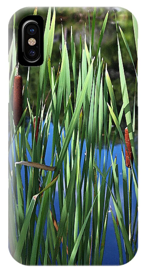 Photograph iPhone X Case featuring the photograph Cattail Pond in Watercolor by Suzanne Gaff