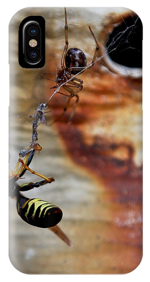 Becky Furgason iPhone X Case featuring the photograph #caught by Becky Furgason