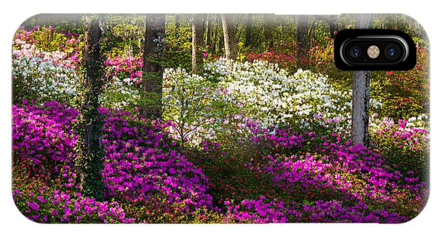 Azaleas iPhone X Case featuring the photograph Charleston SC Azalea Flowers and Sunlight - Fairytale Forest by Dave Allen
