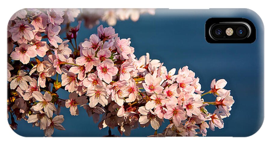 Capitol iPhone X Case featuring the photograph Cherry Blossoms on the Basin by Kathi Isserman