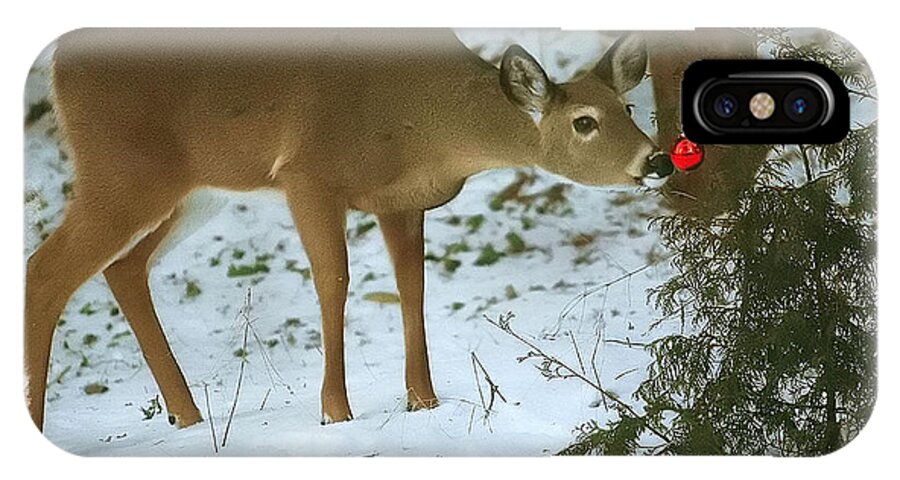 Whitetail Deer iPhone X Case featuring the photograph Christmas Doe by Clare VanderVeen