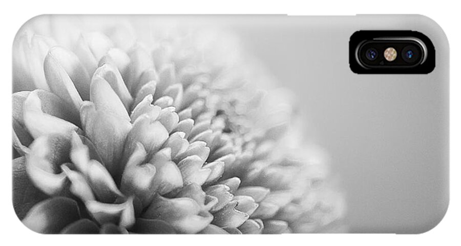 Photograph iPhone X Case featuring the photograph Chrysanthemum in Black and white by Ivy Ho