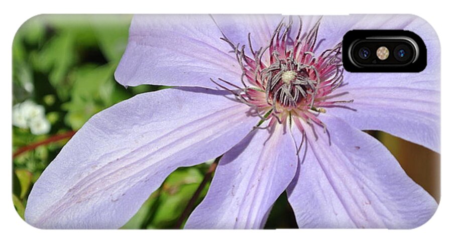  iPhone X Case featuring the photograph Clematis by Sharron Cuthbertson