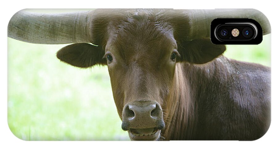 Cattle iPhone X Case featuring the photograph Closeup Texas Longhorn by Rich Collins