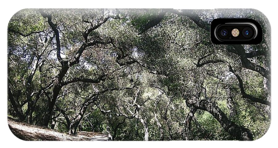 Landscape iPhone X Case featuring the photograph Coast Live Oaks by Marian Jenkins