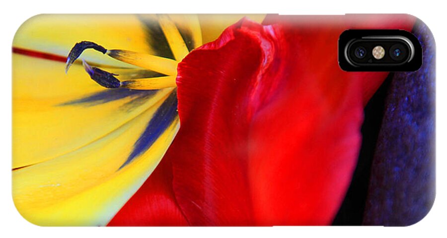 Color iPhone X Case featuring the photograph Color Kiss by Jeanette French