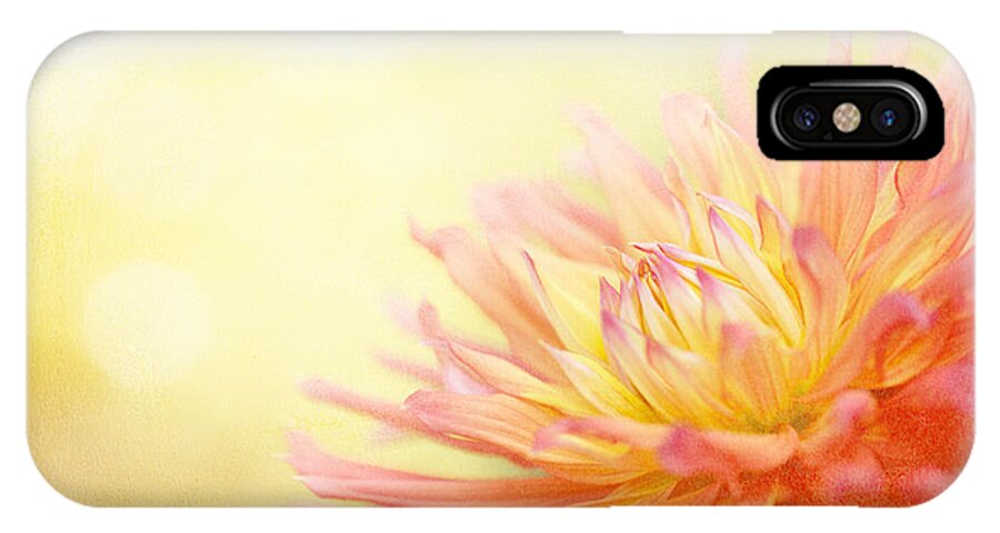 Dahlia iPhone X Case featuring the photograph Color Me Happy by Beve Brown-Clark Photography