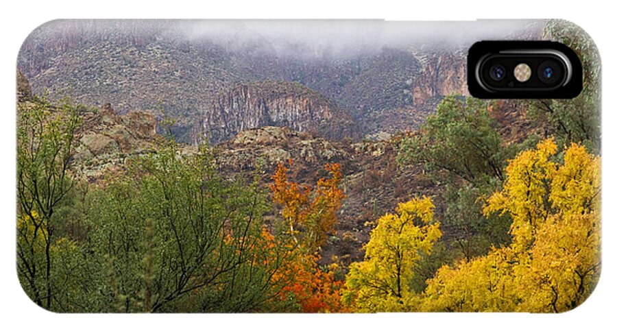 Autumn iPhone X Case featuring the photograph Colors in the Mist by Sue Cullumber