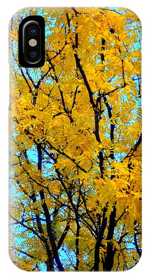 Tree iPhone X Case featuring the photograph Colors of Fall - Smatter by Deborah Crew-Johnson