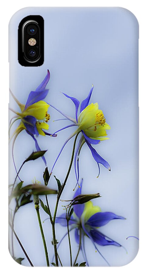 Columbine Flowers iPhone X Case featuring the photograph Columbines by Peter V Quenter
