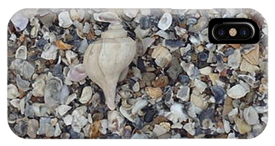 Conch iPhone X Case featuring the photograph Conch Among A Sea of Shells by Robert Scarborough