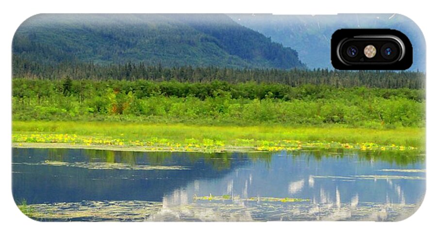 Copper River Delta iPhone X Case featuring the photograph Copper River Delta by Lisa Dunn