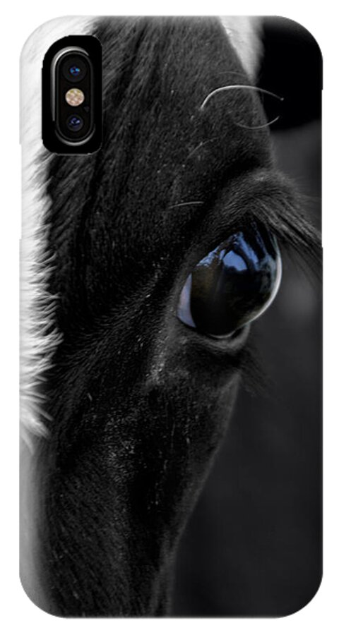 Animal iPhone X Case featuring the photograph Cow Hey You Looking At Me by Thomas Woolworth