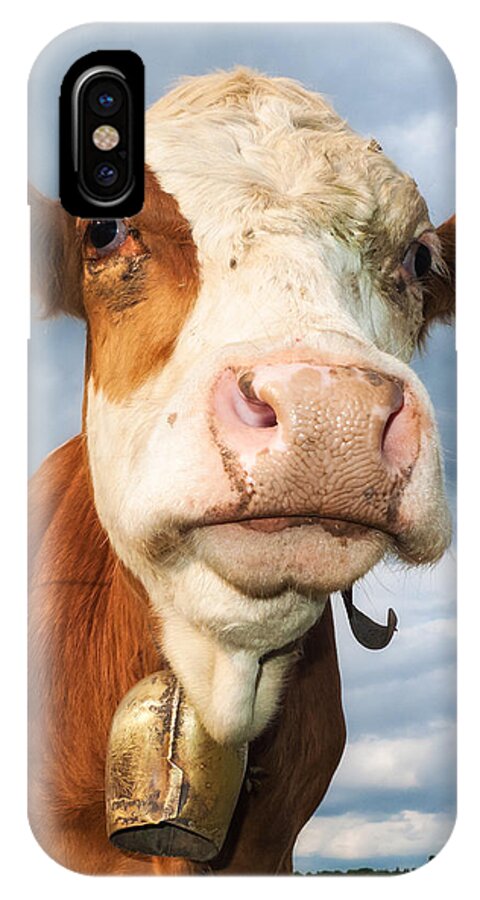 Cow iPhone X Case featuring the photograph Cow portrait by Matthias Hauser