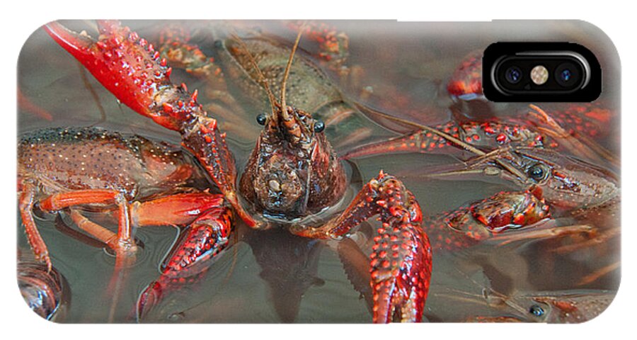 Texas iPhone X Case featuring the photograph Crawfish Boil Galveston Style by John Black