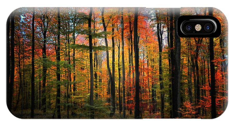 Forest iPhone X Case featuring the photograph Crayons de couleur by Philippe Sainte-Laudy