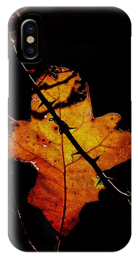 Cross And Thorns iPhone X Case featuring the photograph Cross and Thorns by Stuart Harrison