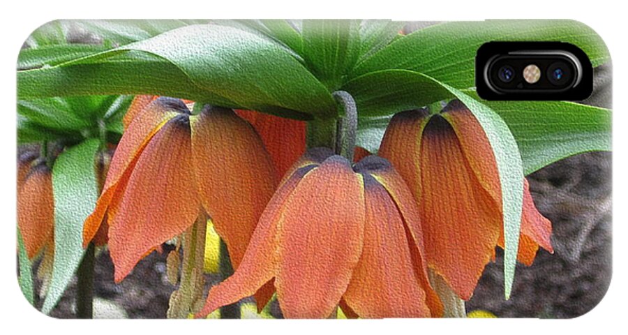 Flower iPhone X Case featuring the photograph Crown Imperial Fritillaria by Kathie Chicoine