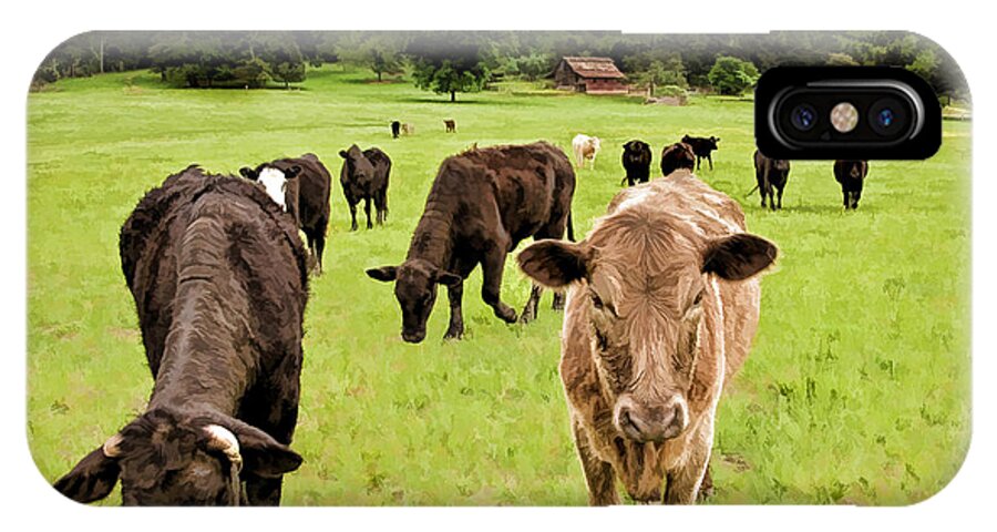 Cows iPhone X Case featuring the photograph Curious by Linda Blair