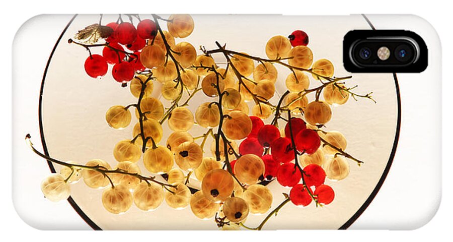 Berry iPhone X Case featuring the photograph Currants on a plate by Vitaliy Gladkiy