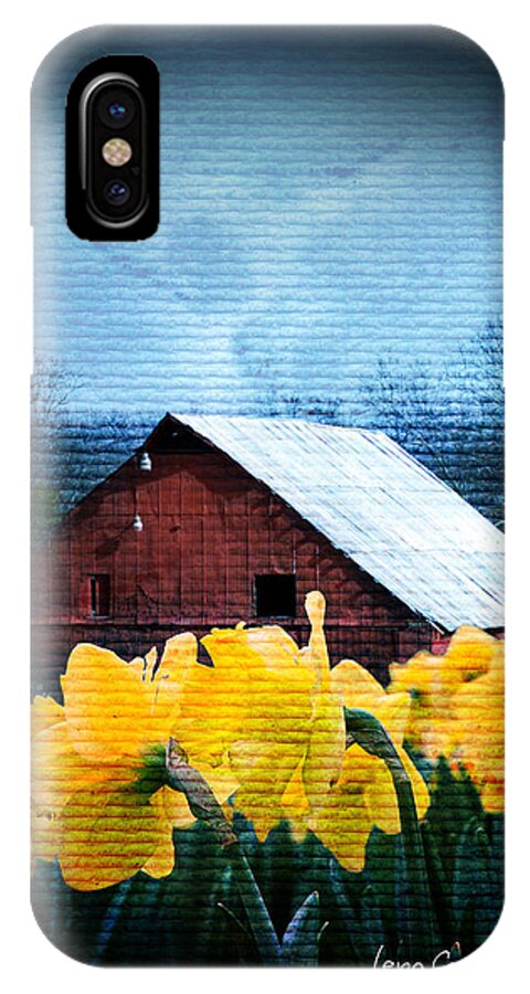 Landscapes iPhone X Case featuring the photograph Daffodils And A Red Barn by Lena Wilhite