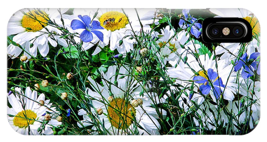 Flowers iPhone X Case featuring the photograph Daisies with Blue Flax and Bee by Roselynne Broussard