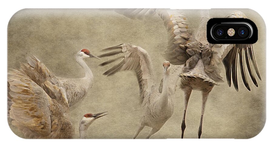 Sandhill Crane iPhone X Case featuring the photograph Dance of the Sandhill Crane by Pam Holdsworth