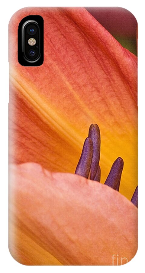 Day Lily iPhone X Case featuring the photograph Day Lily 1 by Richard J Thompson 